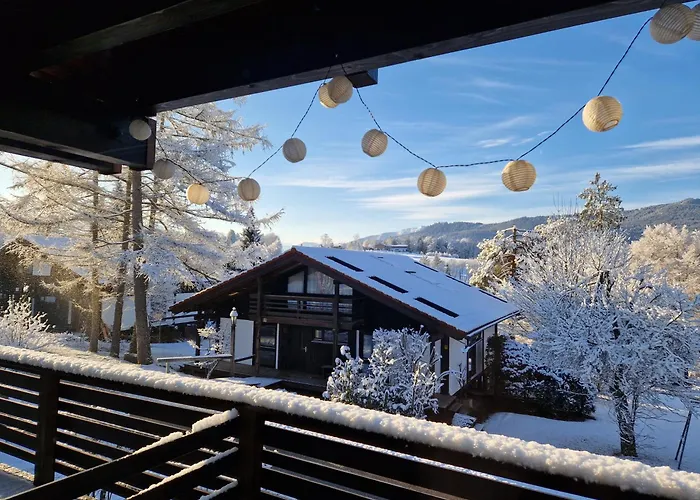 Deer * Зигсдорф